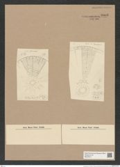 Arachnodiscus sp. (de-Toni-Nr.: Genus 204) Zeichnungen Sammlung Grunow Nr. 9005 (NHMW-BOT-W0378711)